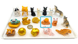 Figur/Glücksbringer (Gold / Glück/ Katze / Eidechse / Axolotl / Capybara)