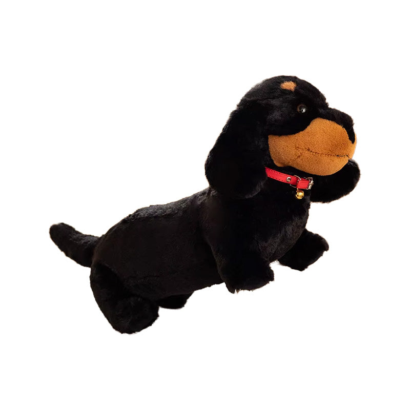 Kuscheltier süßer Dackel Hund