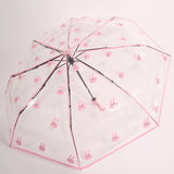 Automatik-Regenschirm transparent mit Hasen/Bären/Pandas