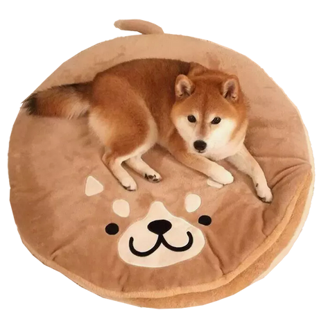 Haustierbett rund Corgi