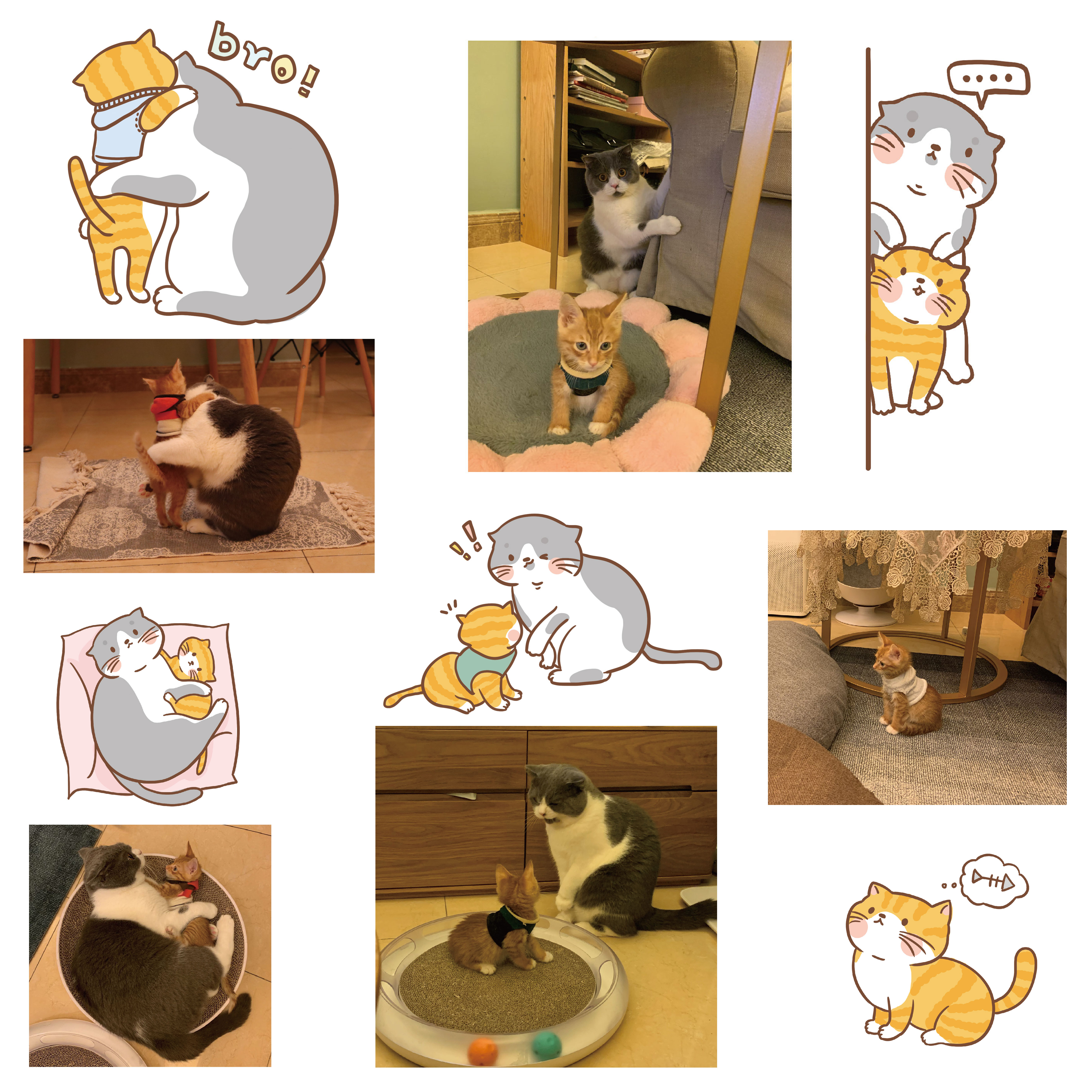 Stickerbogen cute Animals